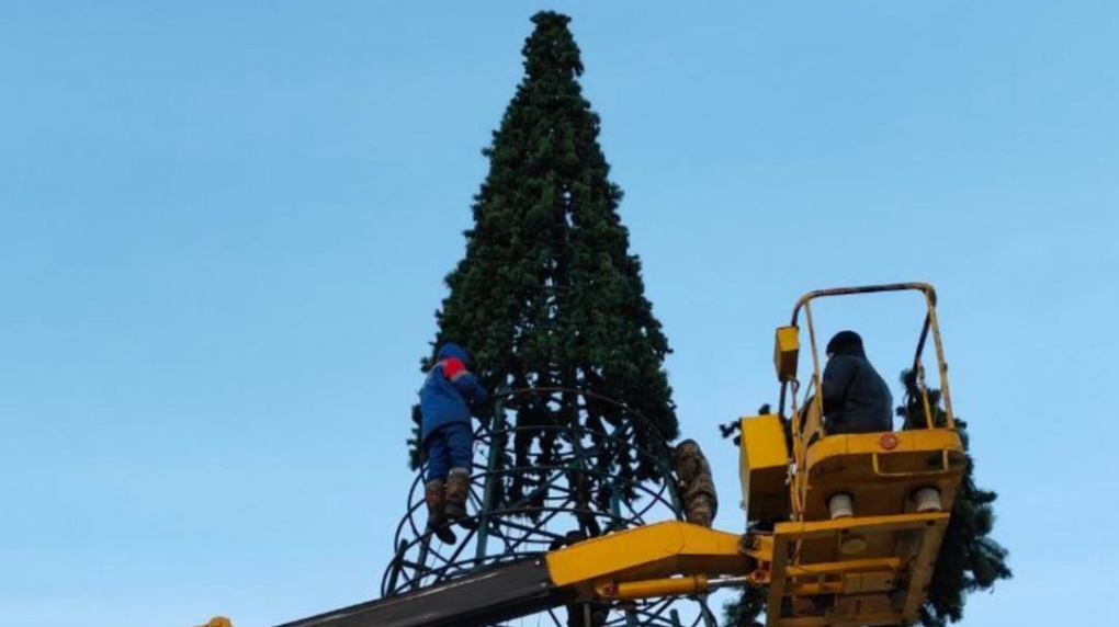 На площади у «Кристалла» появилась 16-метровая новогодняя елка