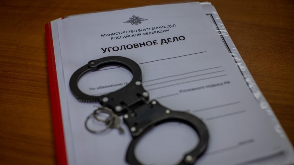 Против Алексея Овчинникова вновь возбудят уголовное дело за оскорбление сотрудников ДПС