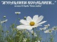 Спектакль «Журавлики-кораблики»